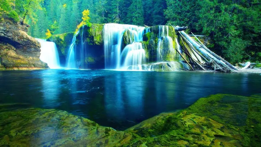 全自动网络化数字化
